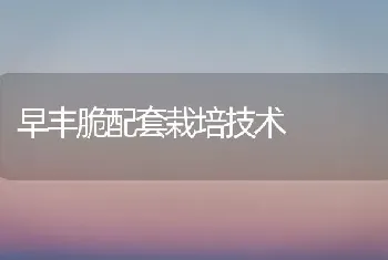 早丰脆配套栽培技术