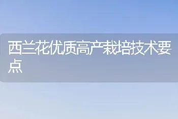 西兰花优质高产栽培技术要点