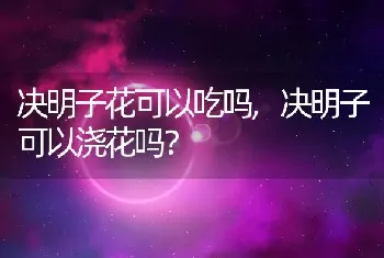 洛神花长什么样子