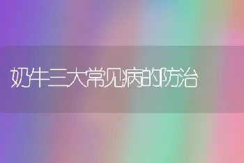 奶牛三大常见病的防治