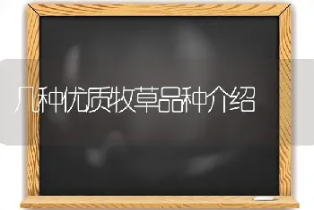 几种优质牧草品种介绍