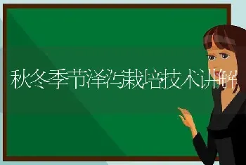 秋冬季节泽泻栽培技术讲解