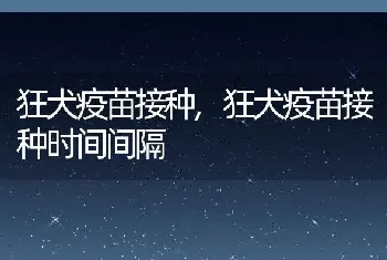 狂犬疫苗接种,狂犬疫苗接种时间间隔