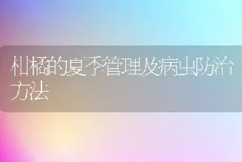 柑橘的夏季管理及病虫防治方法