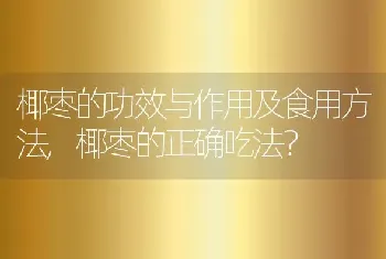 椰枣的功效与作用及食用方法