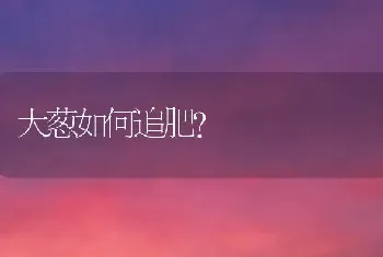 大葱如何追肥?