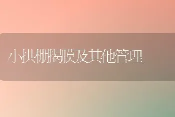 小拱棚揭膜及其他管理