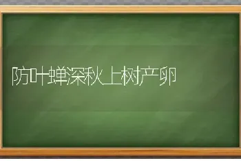 防叶蝉深秋上树产卵