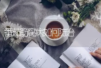 番茄筋腐病如何防治