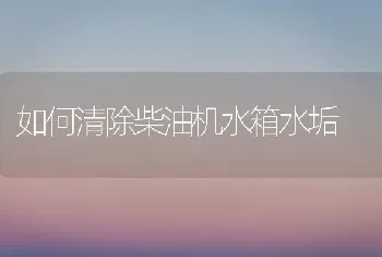 如何清除柴油机水箱水垢