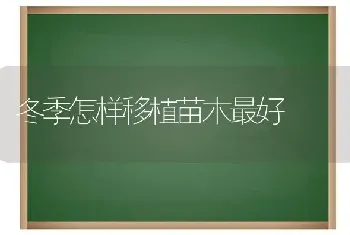 冬季怎样移植苗木最好