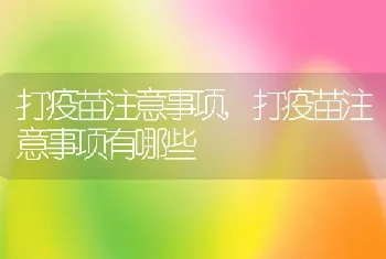 打疫苗注意事项