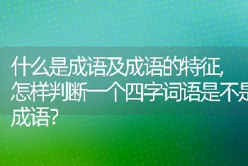 什么是成语及成语的特征