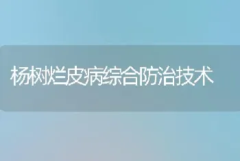 杨树烂皮病综合防治技术