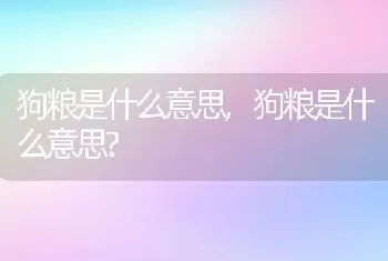 狗粮是什么意思