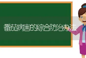 番茄病害的综合防治办法