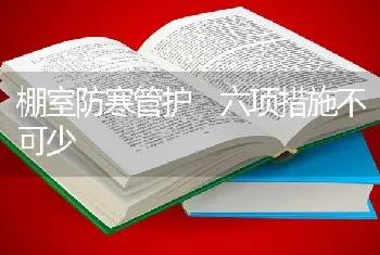 棚室防寒管护 六项措施不可少