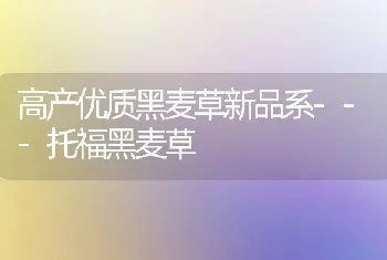 高产优质黑麦草新品系---托福黑麦草