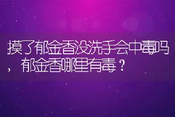 摸了郁金香没洗手会中毒吗