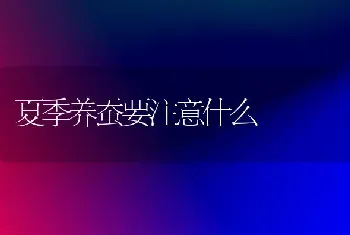 夏季养蚕要注意什么