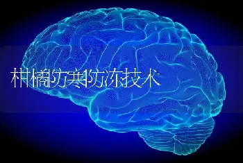 柑橘防寒防冻技术