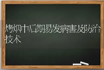 烤烟中后期易发病害及防治技术