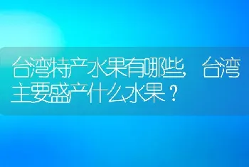 台湾特产水果有哪些