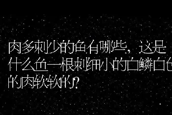 小狗不吃不喝光想趴着