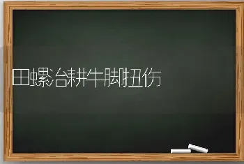 田螺治耕牛脚扭伤