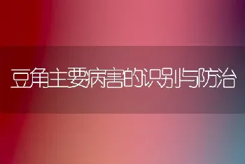 豆角主要病害的识别与防治