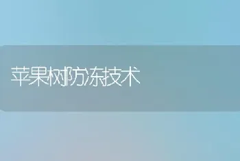 强降温来临前慎用异丙隆