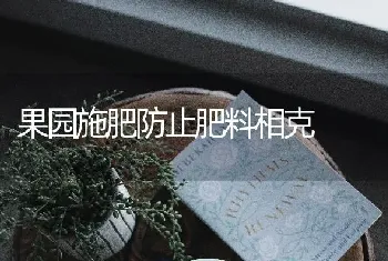 贮藏大葱的七种方法