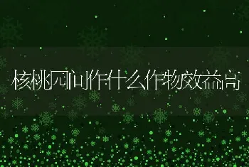 核桃园间作什么作物效益高