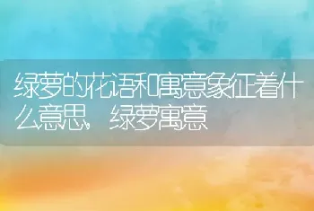 绿萝的花语和寓意象征着什么意思