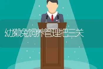 无渣豆腐生产技术