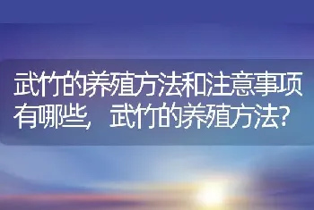 武竹的养殖方法和注意事项有哪些