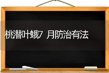 桃潜叶蛾7月防治有法