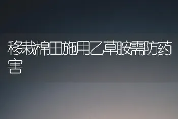 移栽棉田施用乙草胺需防药害