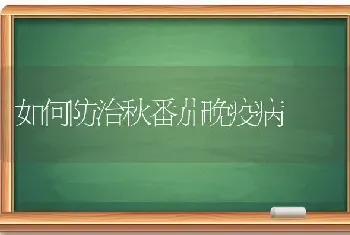 如何防治秋番茄晚疫病