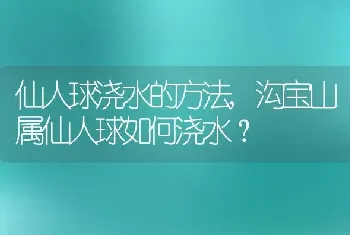 仙人球浇水的方法