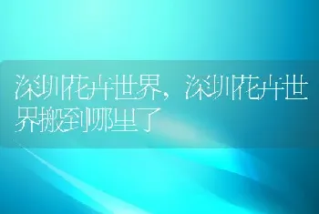 深圳花卉世界,深圳花卉世界搬到哪里了