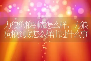 力狼狗粮到底怎么样