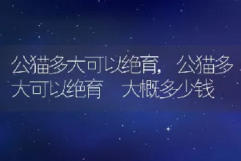 公猫多大可以绝育