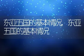 东亚五国的基本情况