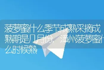 菠萝蜜什么季节成熟采摘成熟期是几月份