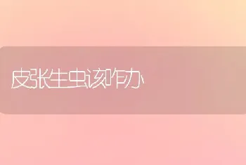 皮张生虫该咋办