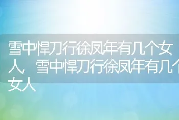 雪中悍刀行徐凤年有几个女人