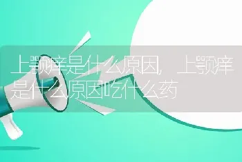 上颚痒是什么原因