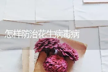 怎样防治花生病毒病