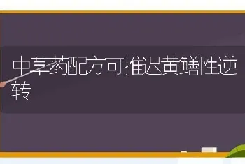 中草药配方可推迟黄鳝性逆转